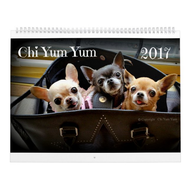 Chi Yum Yum 2017 Calendar (Cover)