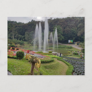 Chiang Mai Thailand  Garden Postcard
