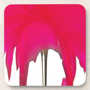 Chic amazing Red rose under the white sky.  Coaster