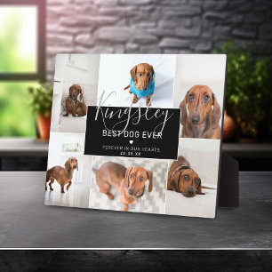 Chic Best Dog Ever   Photo Collage Pet Loss Plaque