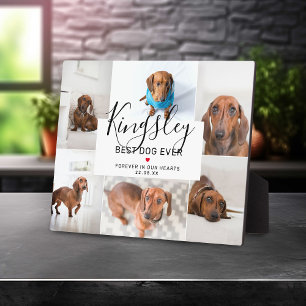 Chic Best Dog Ever   Photo Collage Pet Loss Plaque