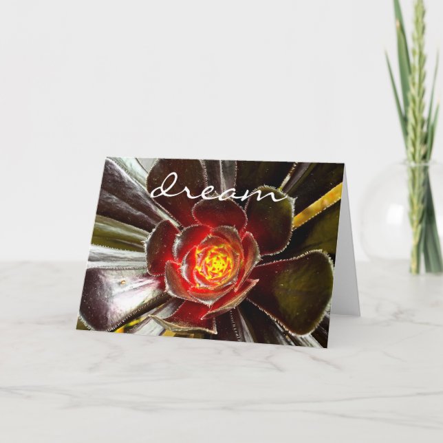 Chic Black Orange Cactus Succulent Photo “Dream” Card (Front)