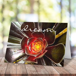 Chic Black Orange Cactus Succulent Photo “Dream” Card