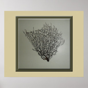 Chic Black Sea Fan Pattern Poster