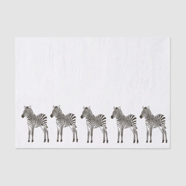 Chic Black White Zebras Tissue Paper (Front)
