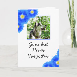 Chic Blue Flowers Pet Photo Sympathy Card
