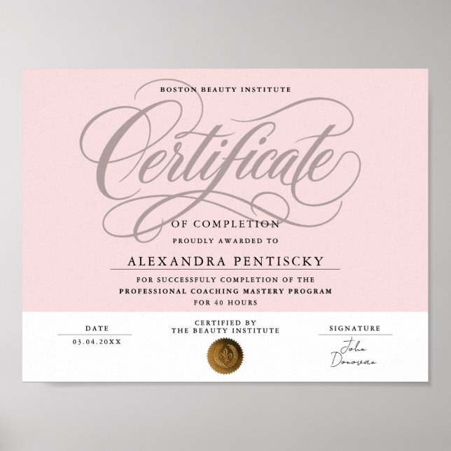 Chic Blush Pink Professional Certificate Beauty Poster (Front)