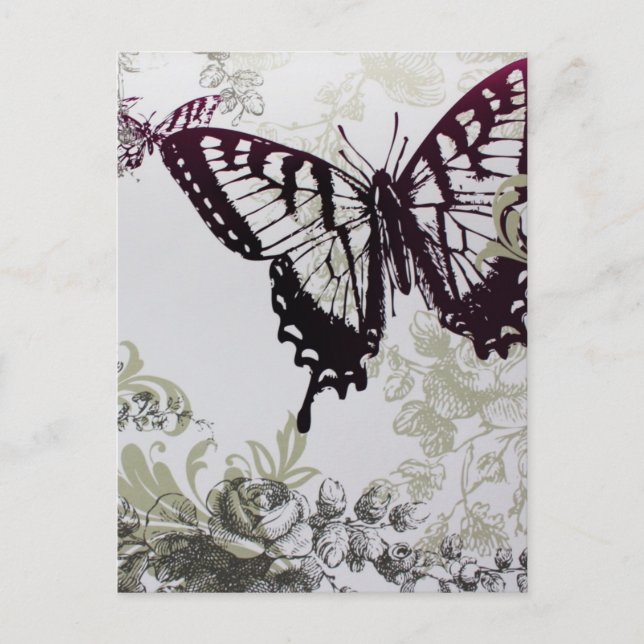chic bright colourful summer butterfly postcard (Front)