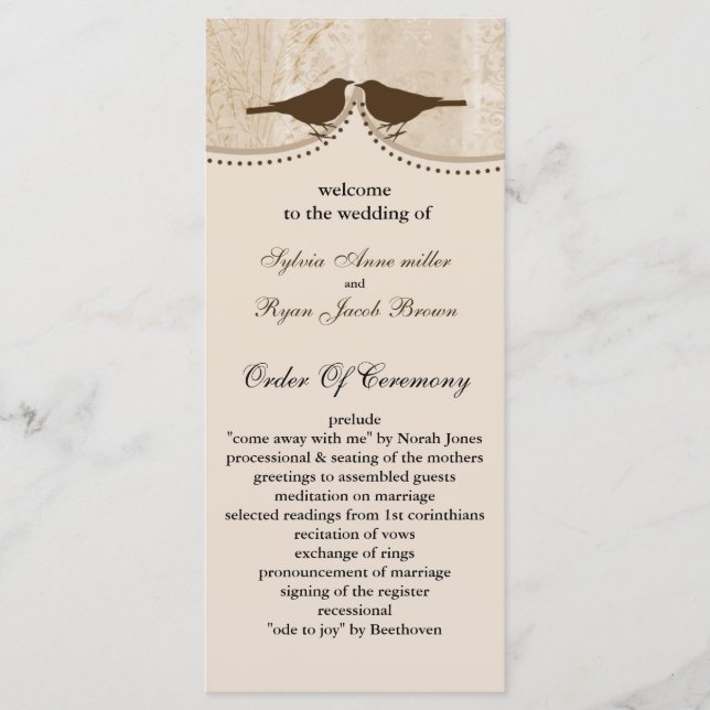 Chic brown bird cage, love birds wedding programs programme (Front)