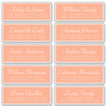Chic Calligraphy Orange Guest Address Labels<br><div class="desc">Easy to personalise, names and addresses / individual wedding address label stickers for guests. These chic, modern and simple wedding guest address labels feature your guest names in white elegant handwritten script calligraphy and modern typography on a cantaloupe orange background. Simply add your individual wedding guest names and address. Exclusively...</div>