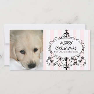 Chic Chandelier Dog Christmas Photo Card