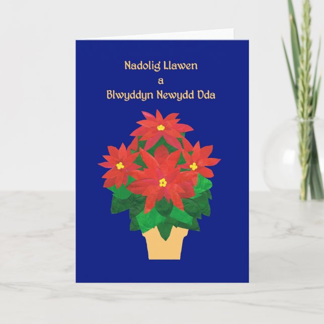 Chic Christmas Card, Welsh, Poinsettias on Blue Holiday Card (Front)