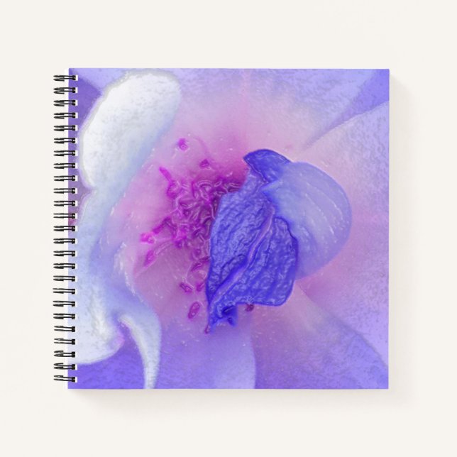 *~* Chic Digitally Modified Rose from Pink to Blue Notebook (Front)