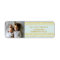 Chic Faux Gold foil Stripes Light Blue Photo