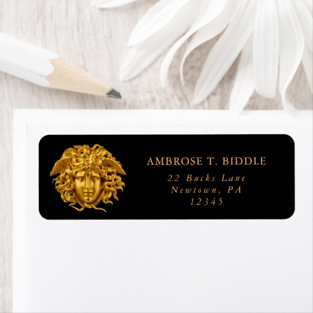 Chic French Fine Art Haute Couture Medusa Mask (Insitu)