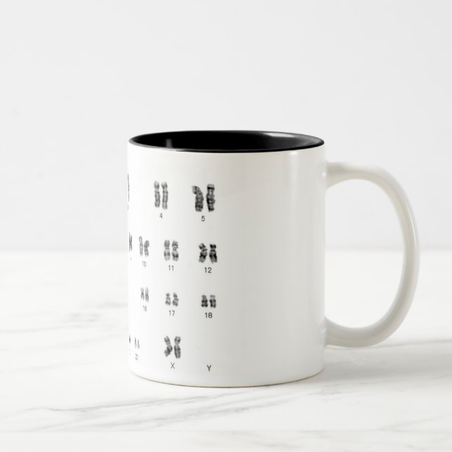chic geek genetics xx female coffee mug (Right)