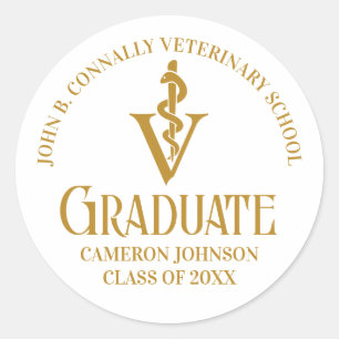 Chic Gold Veterinary School Graduation Party Classic Round Sticker