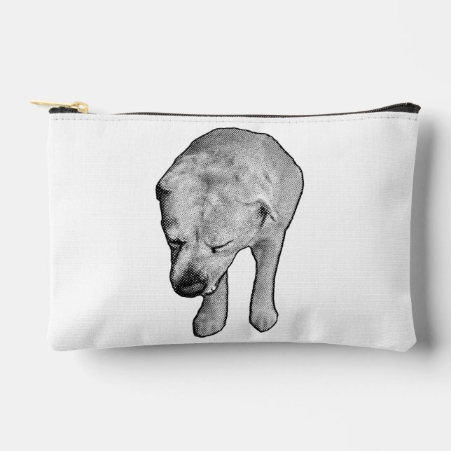 Chic Lab Lines with Snowy Specks Accessory Pouch (Front)