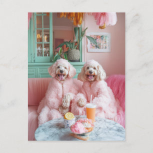 Chic Labradoodles in Pink Lounge Postcard
