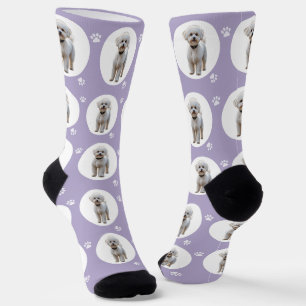 Chic Lavender Purple Custom Pet Photo Cute Paw Socks