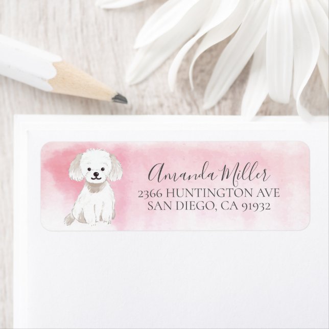 Chic Maltese Return Address Label (Insitu)