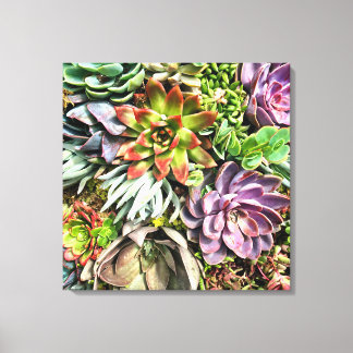 Chic Modern Colourful Succulent photo pattern Canvas Print