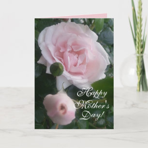 CHIC MOTHER'S DAY CARD_ NEW DAWN ROSES CARD