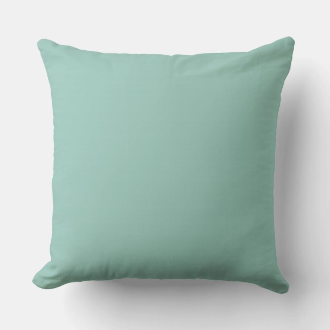 CHIC PILLOW_415/416 SOLID AQUA CUSHION (Front)