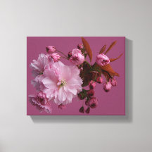 Chic pink cherry blossom fancy modern floral style
