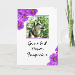 Chic Purple Flowers Pet Photo Sympathy Card