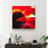 Chic Red Orange Daisy Close-up Photo “Inspire”