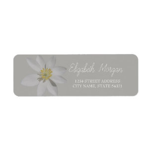 Chic Romantic White Daisy  Address Label