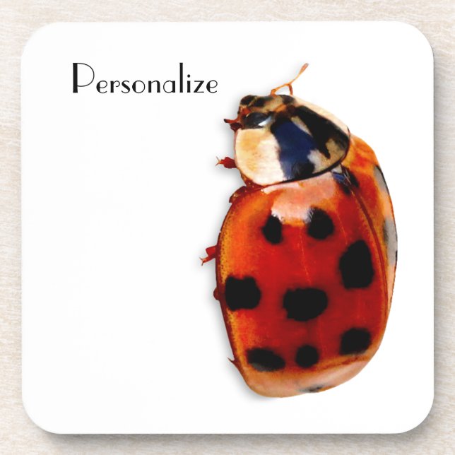 Chic Spotted Ladybug With Name Coaster (Front)