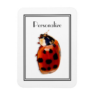 Chic Spotted Ladybug With Name Magnet