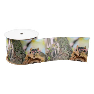 Chic squirrel satin ribbon