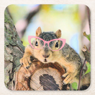 Chic squirrel square paper coaster