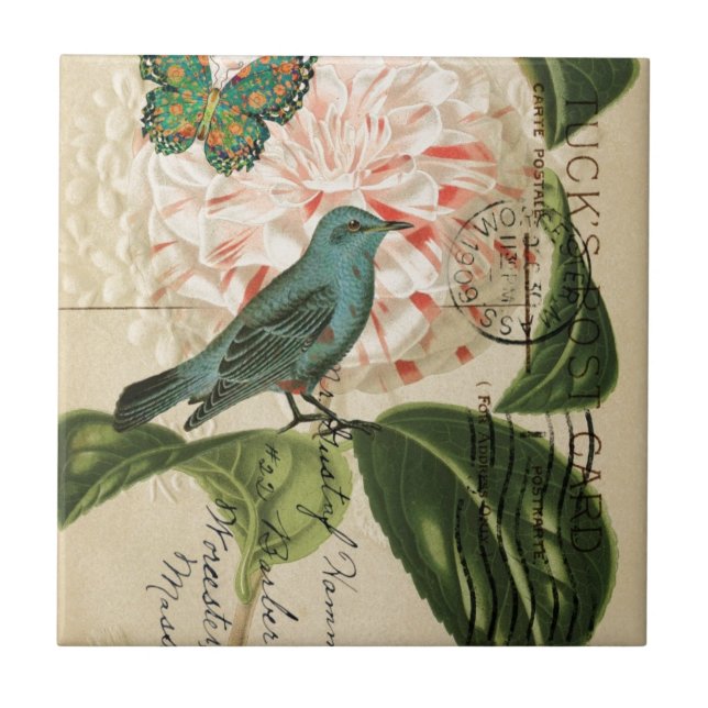 Chic Vintage Bird camellia french botanical art Tile (Front)