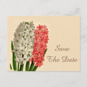 Chic Vintage Hyacinths 18th Birthday Save The Date Announcement Postcard