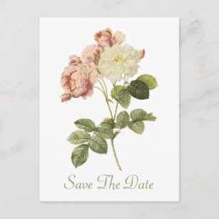 Chic Vintage Roses Wedding Save The Date Announcement Postcard