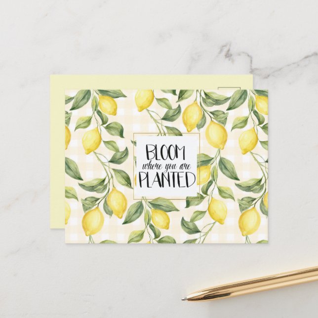 Chic Yellow Lemons Bloom Postcard (Front/Back In Situ)