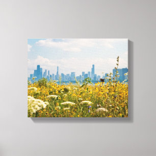 Chicago as seen from Montrose Harbour's bird Canvas Print