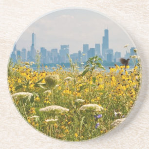 Chicago as seen from Montrose Harbour's bird Coaster