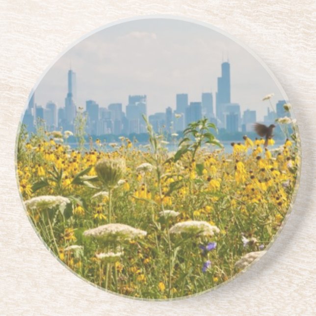Chicago as seen from Montrose Harbour's bird Coaster (Front)