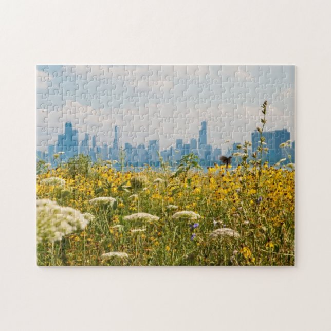 Chicago as seen from Montrose Harbour's bird Jigsaw Puzzle (Horizontal)