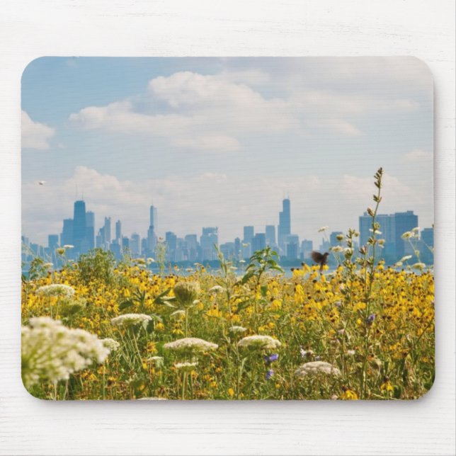 Chicago as seen from Montrose Harbour's bird Mouse Mat (Front)