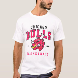 Chicago Bullsss Vintage T-Shirt