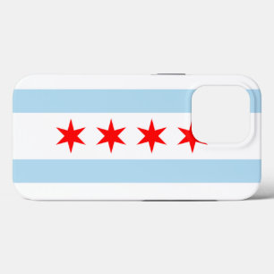 Chicago iPhone 13 Pro Case