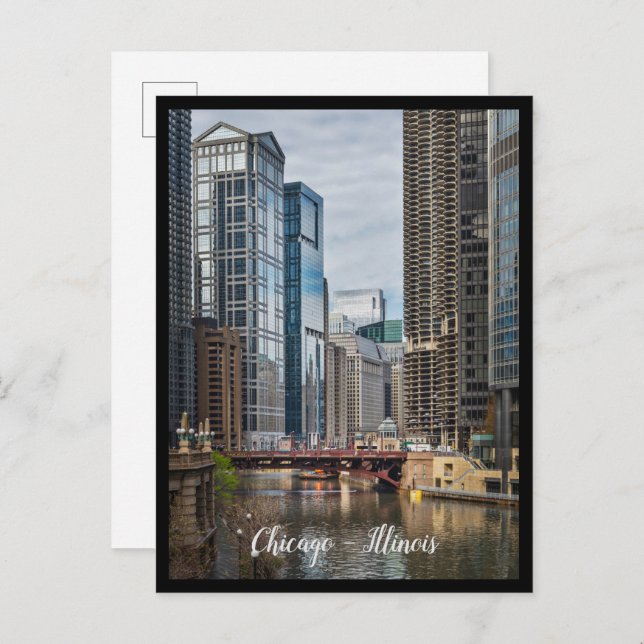 Chicago City, Illinois Postcard (Front/Back)