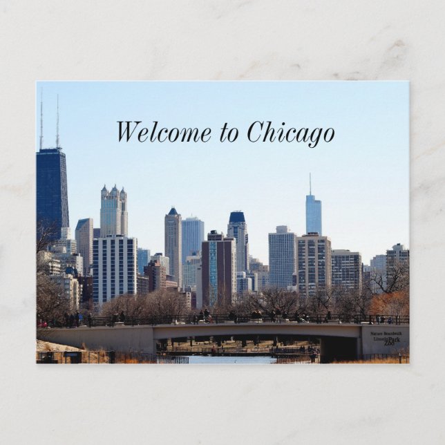 Chicago City Skyline Postcard (Front)