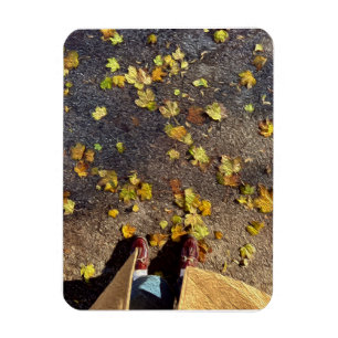 Chicago Fall Greeting Card Magnet